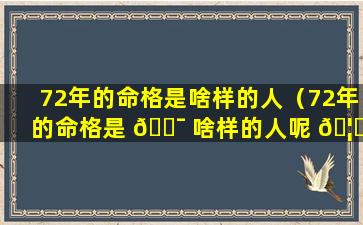 72年的命格是啥样的人（72年的命格是 🐯 啥样的人呢 🦅 ）